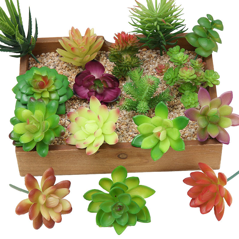 2021 sztuczne sukulenty roślin – Bonsai Garden Ideas recenzja i cena