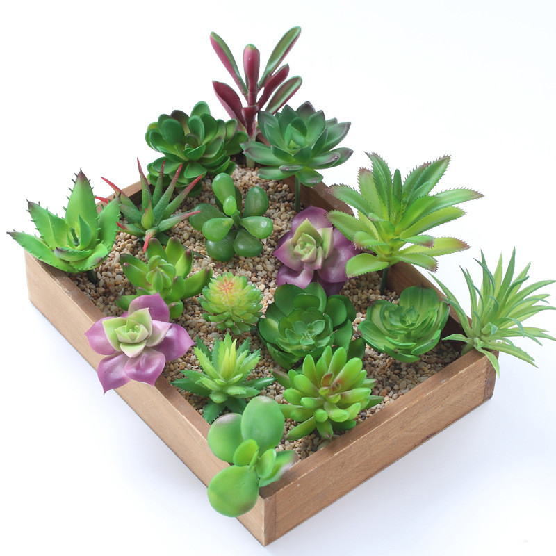 2021 sztuczne sukulenty roślin – Bonsai Garden Ideas recenzja i cena