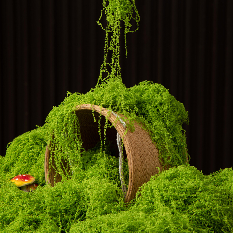 200g Mech Wiecznego Życia DIY  – Bonsai Garden Ideas recenzja i cena