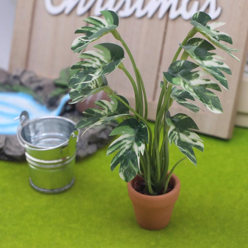 Gorąca Wyprzedaż: Model Monste – Bonsai Garden For Sale recenzja i cena