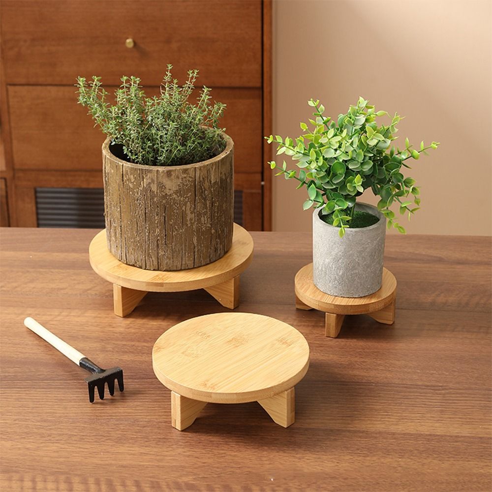 Drewniany stojak na bonsai, po – Bonsai Garden Display recenzja i cena