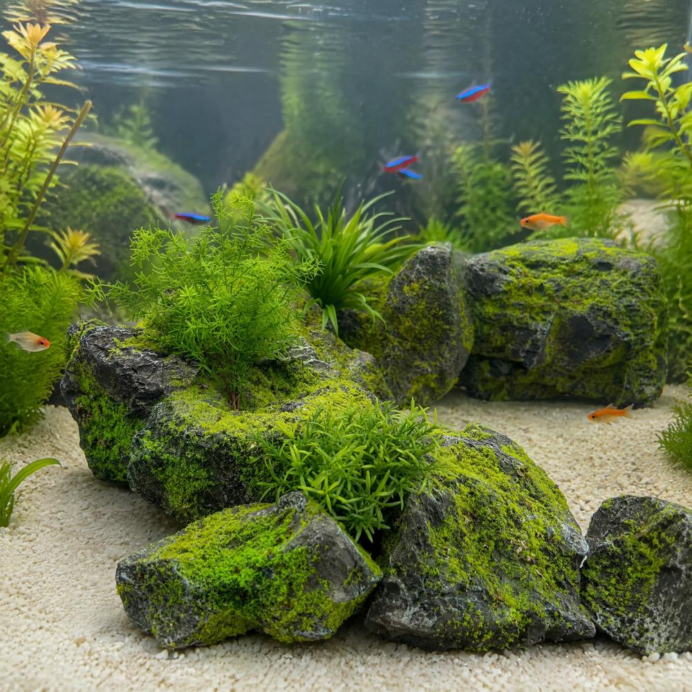 Odporna na warunki atmosferycz – Bonsai Rock Garden recenzja i cena