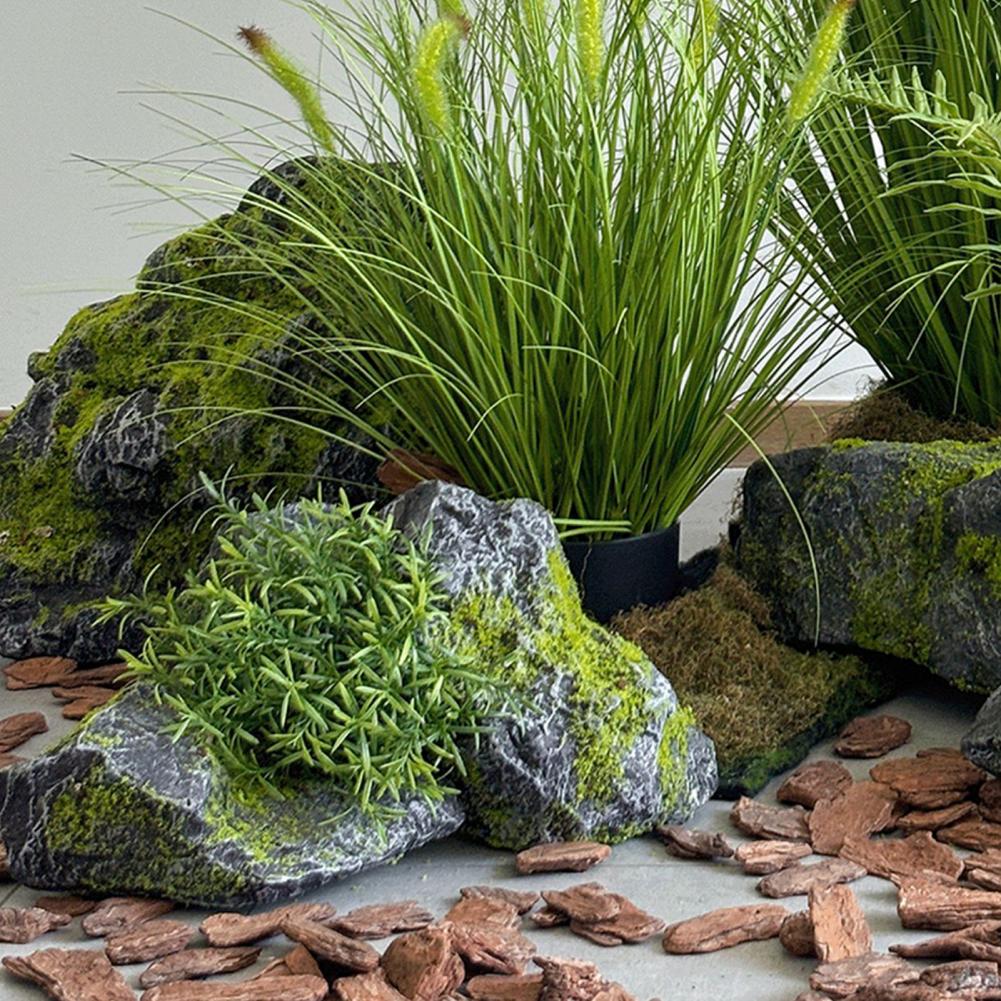 Odporna na warunki atmosferycz – Bonsai Rock Garden recenzja i cena