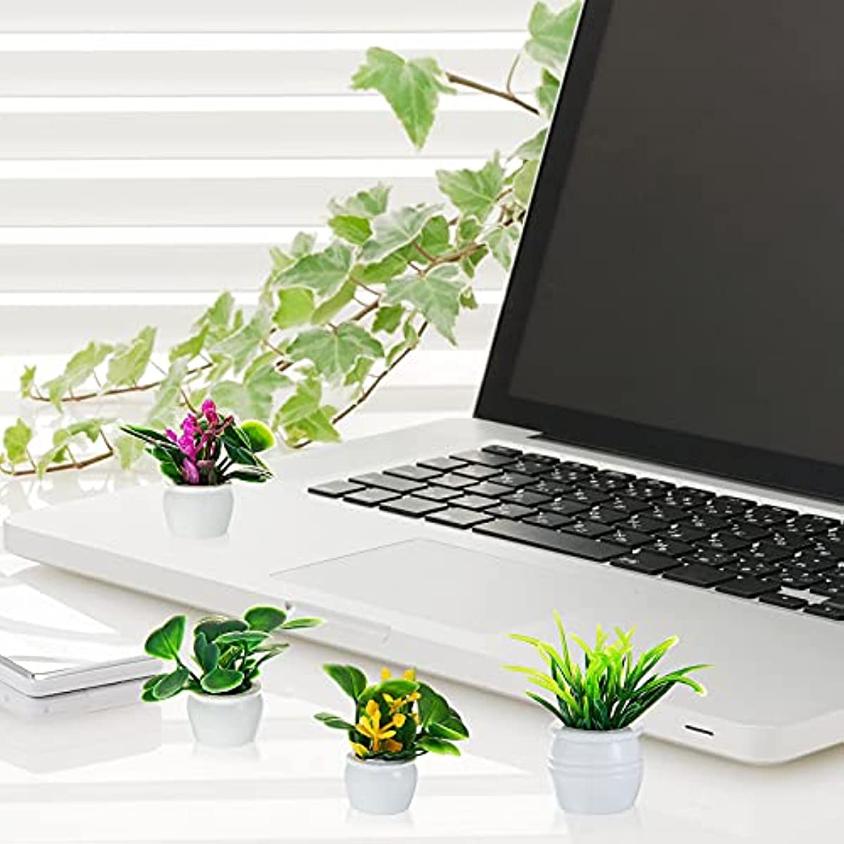 Roślina do domku dla lalek, mi – Bonsai Garden Ideas recenzja i cena