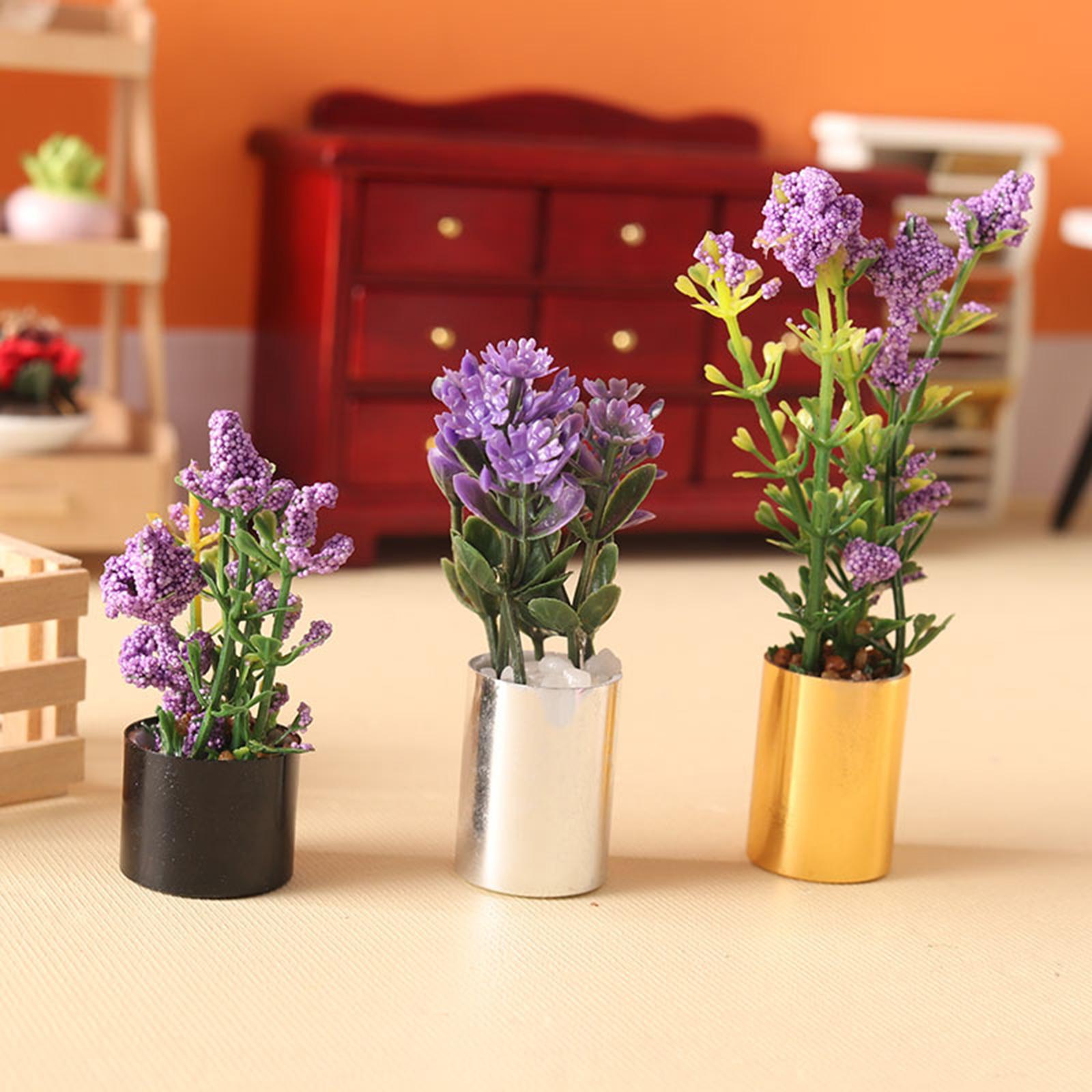 Miniaturowa Roślina Doniczkowa – Bonsai Garden Display recenzja i cena
