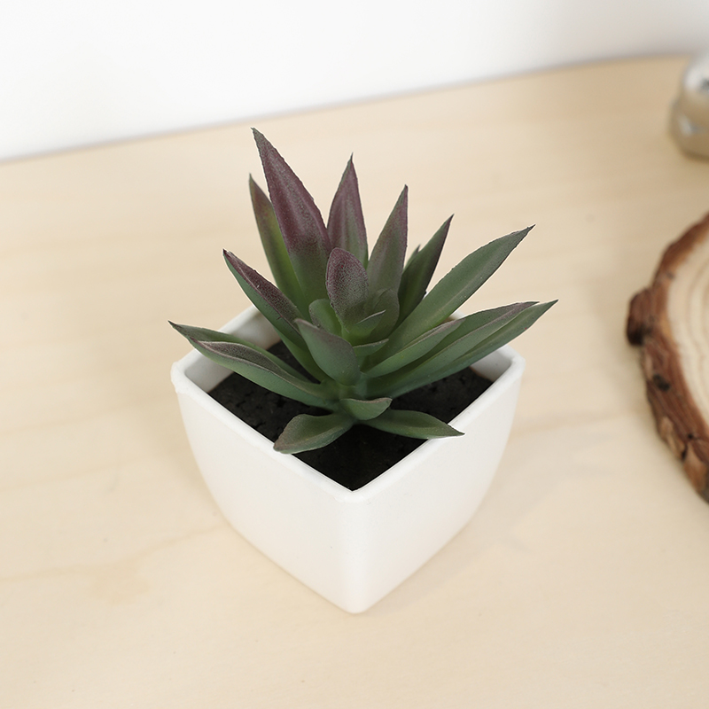 Mini sztuczny soczysty kubek w – Bonsai Garden Ideas recenzja i cena