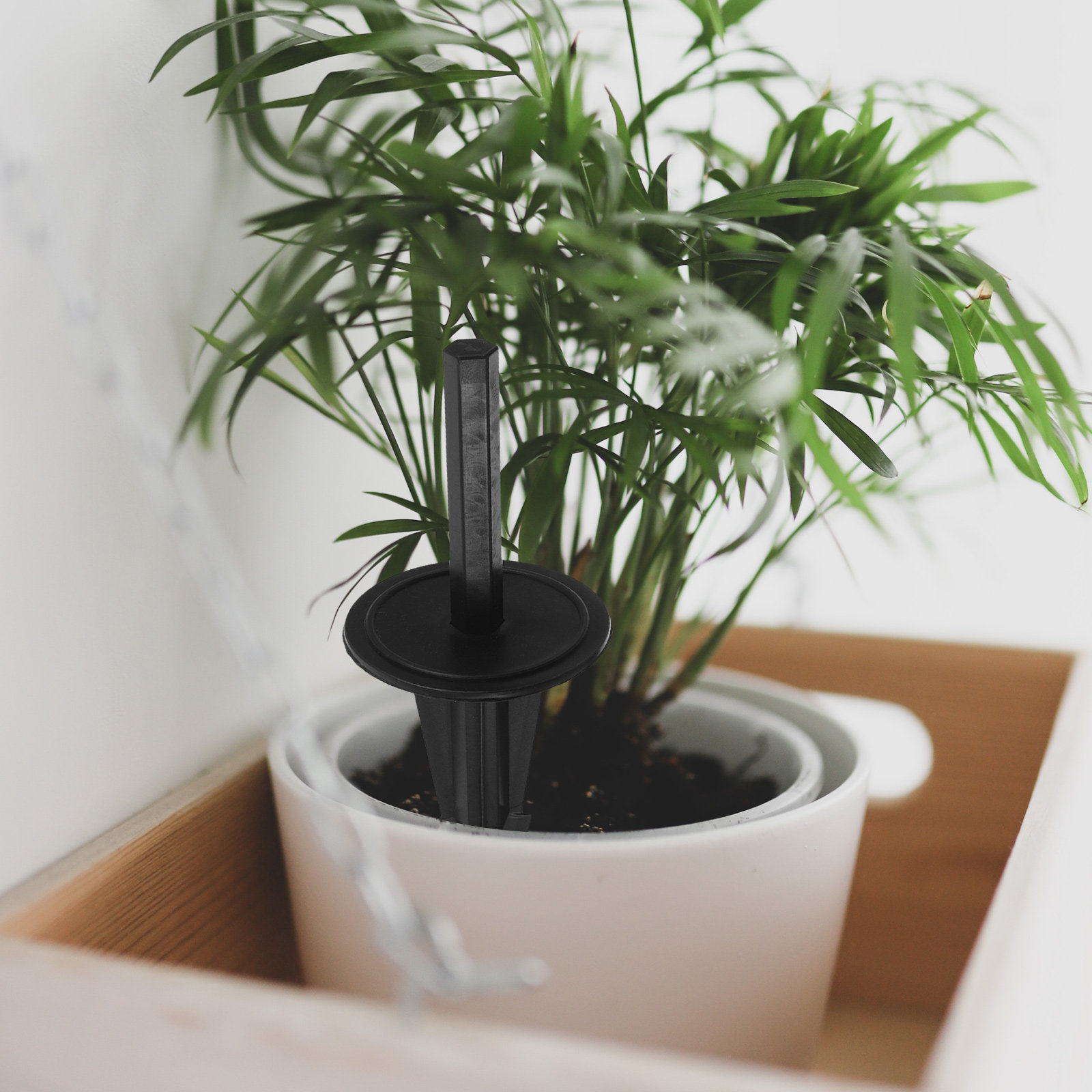 4 sztuki sztucznych kołków do  – Bonsai Garden Display recenzja i cena