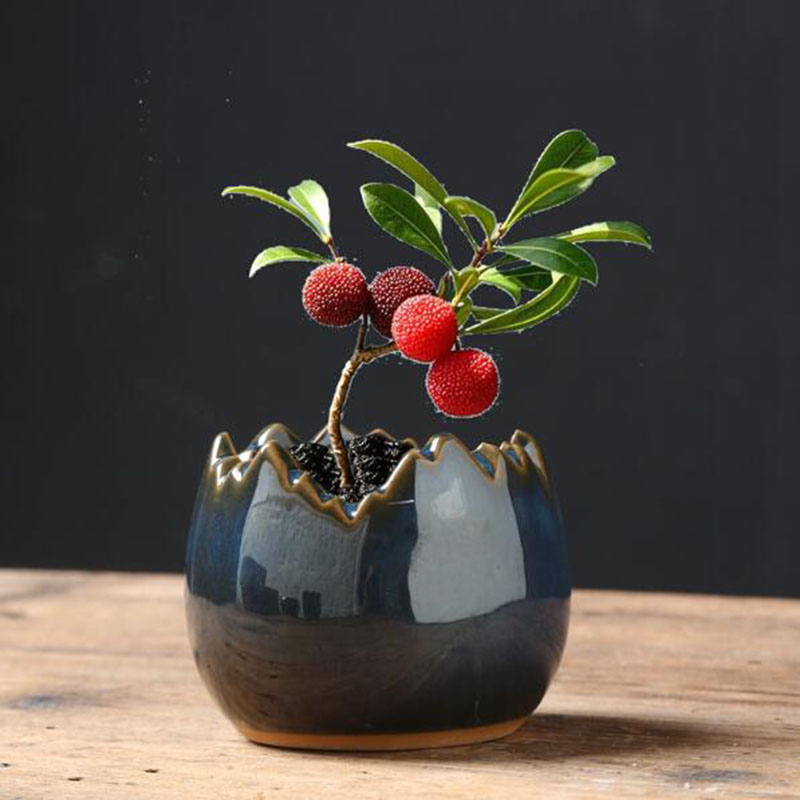 Doniczka z efektem przetworzen – Bonsai Garden Art recenzja i cena