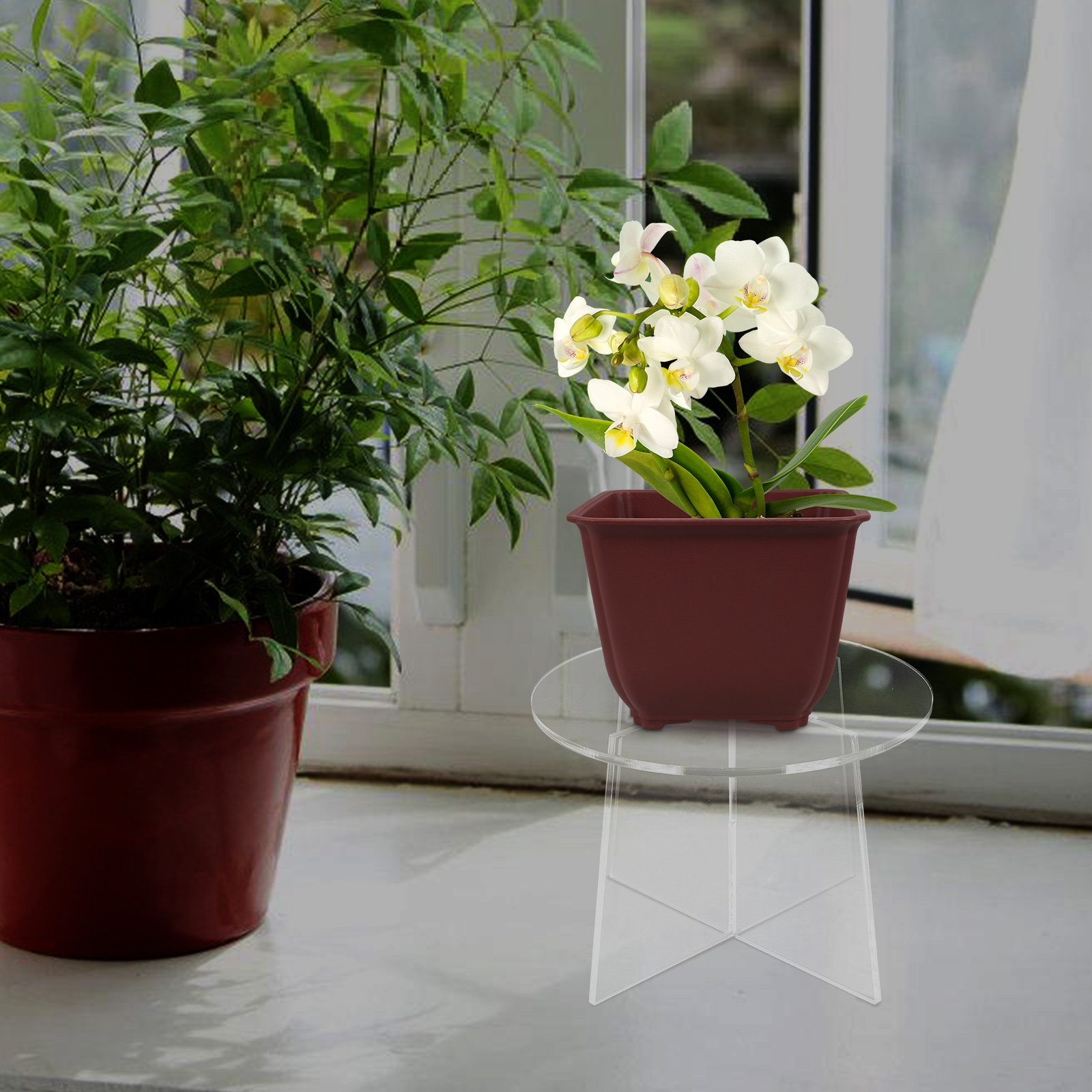 Akrylowy stojak na rośliny suk – Bonsai Garden Display recenzja i cena